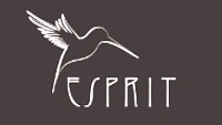 Création de site Web vitrine, référencement SEO et marketing digital pour Esprit Audio.